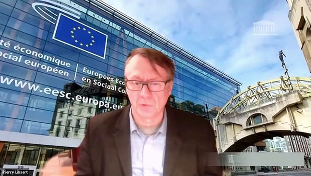 Commission des affaires européennes : Échange avec les membres de la délégation française au Comité économique et social européen - Mercredi 3 mars 2021