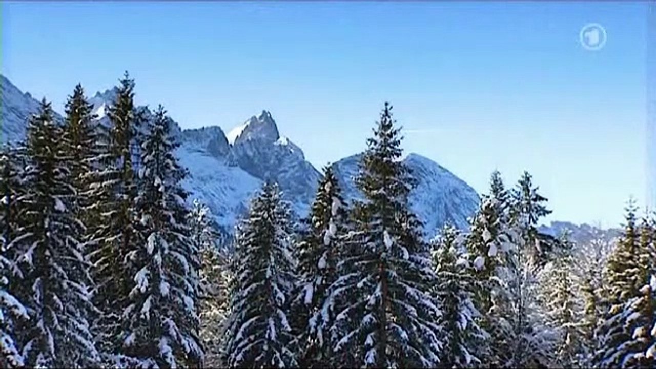 Sturm der Liebe, Folge 775 2/5