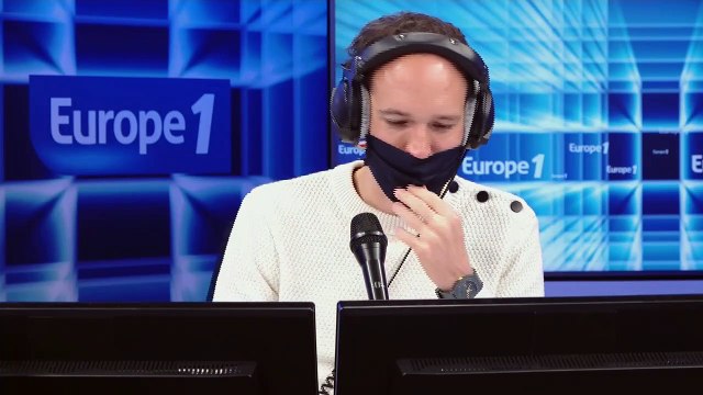 Des bovins munis de bracelets d’activité pour collecter des informations sur les troupeaux