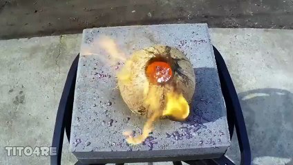 Hindistan cevizine bakın ne yaptılar!