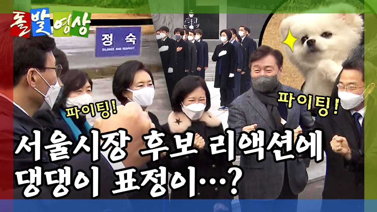 [돌발영상] 현충원의 아침은 누가 깨웠나? / YTN