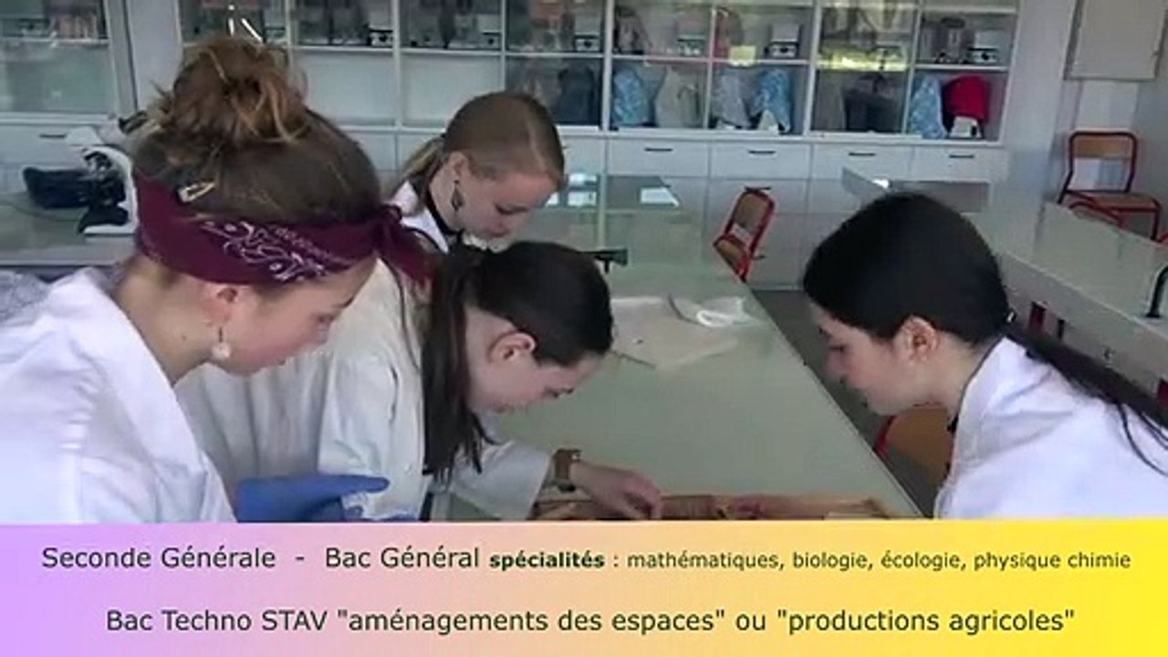 bac technologique et bac général