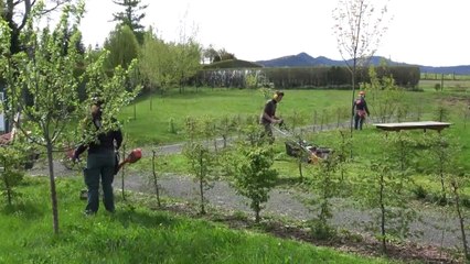 CAP jardinier paysagiste