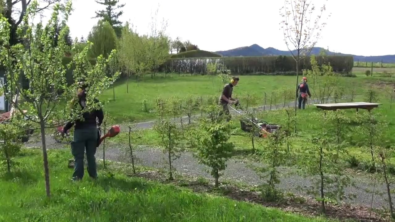 CAP jardinier paysagiste