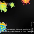 Pastille 3, vaccins - Quel danger fait courir la COVID-19 ?