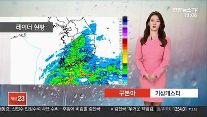 [날씨] 퇴근길 충청이남 비…내일 경칩, 포근한 봄날씨