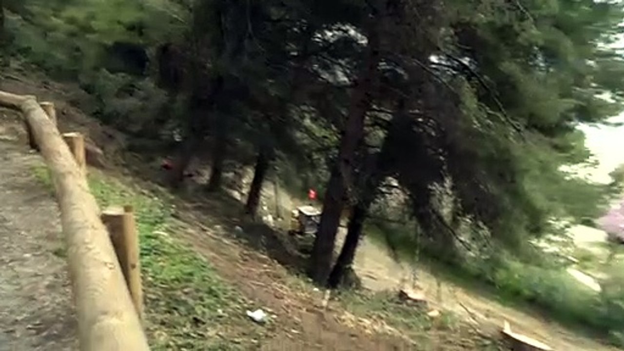 Istres : gros travaux d'élagage et d'abattage à la Romaniquette