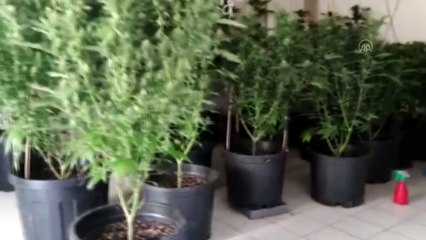 İZMİR - Evlerinin 2 katını uyuşturucu imalathanesine çeviren 2 şüpheli yakalandı