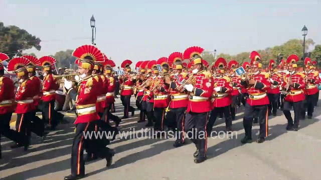 Camels come marching into New Delhi city! Camels still do service to protect India's desert borders