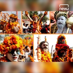 Niranjani Akhaada Makes A Grand Entry In Kumbh Mela This Year