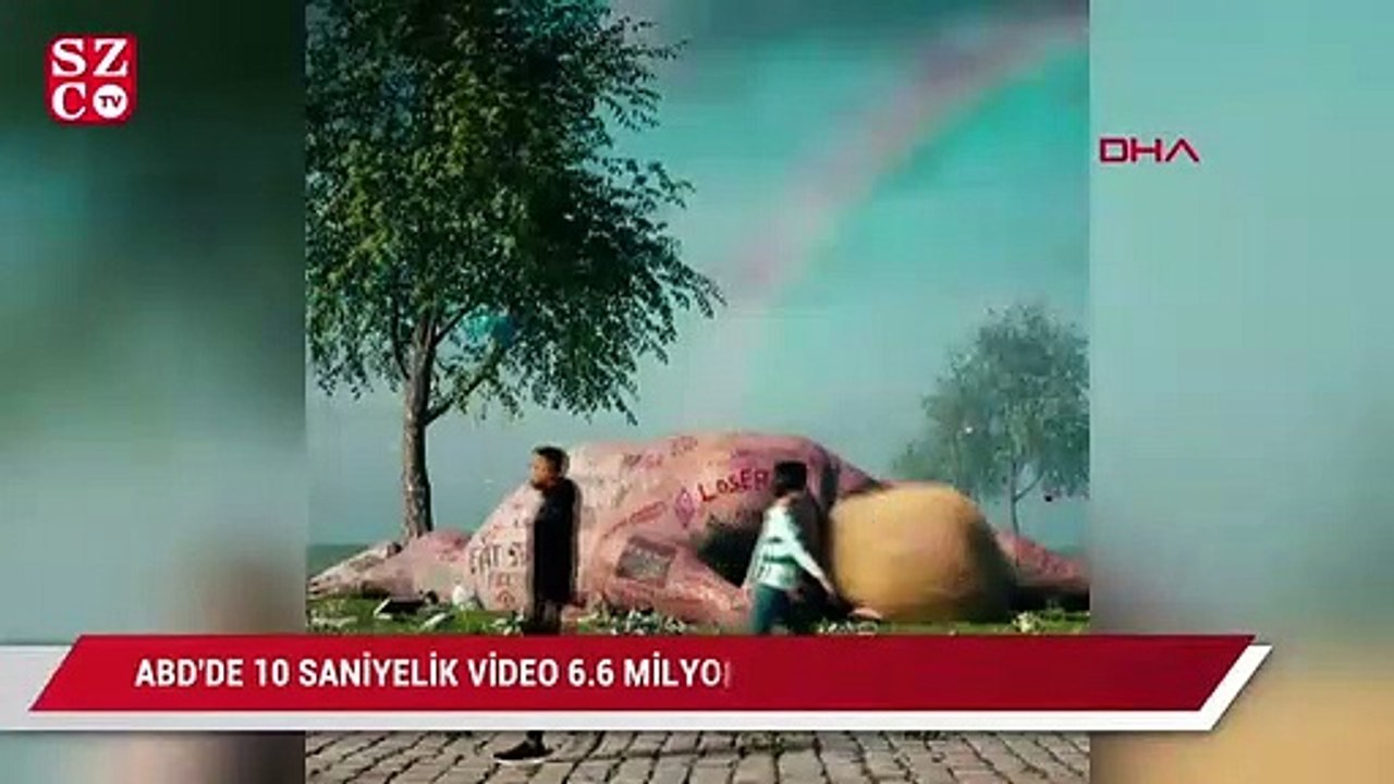 ABD'de 10 saniyelik video 6.6 milyon dolara satıldı