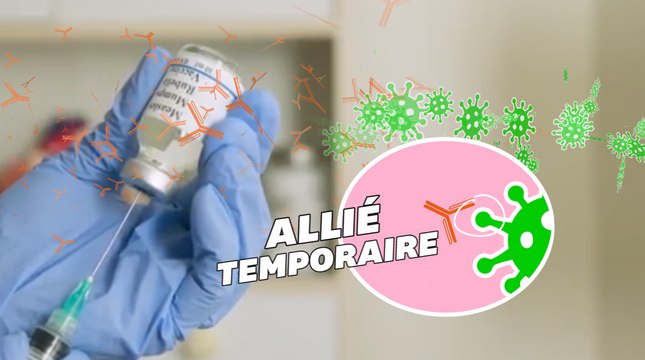 Covid-19: Pourquoi les anticorps monoclonaux ne remplaceront pas les vaccins