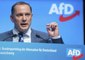 Le parti AfD placé sous surveillance par le renseignement allemand à six mois des élections