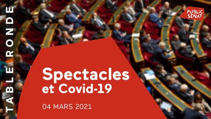 Quelles sont les perspectives pour les salles de spectacles et de cinéma ?