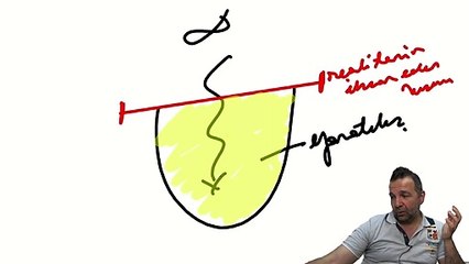 Yalnız çalışmam gerekiyorsa çalışmaya nerede ekleme yapabilirim?