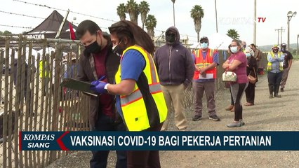 Vaksinasi Corona Bagi Pekerja Pertanian di California AS