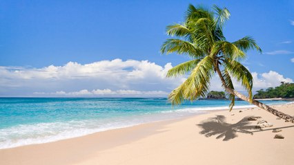 This Beer Company Is Giving Away a Spring Break Trip to a Deserted Island