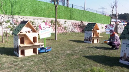 İSTANBUL - Sultangazi Belediyesi sokak kedileri için Kedi Köyü oluşturdu