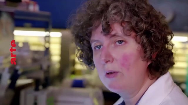 Les secrets des momies égyptiennes (Arte) : Des mystères résolus ?