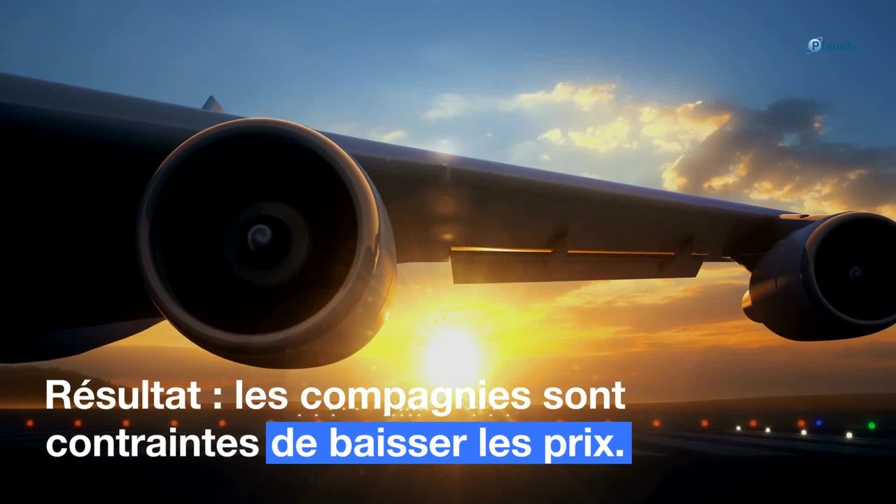 Voyages : ces destinations où le prix du billet d'avion est en chute libre