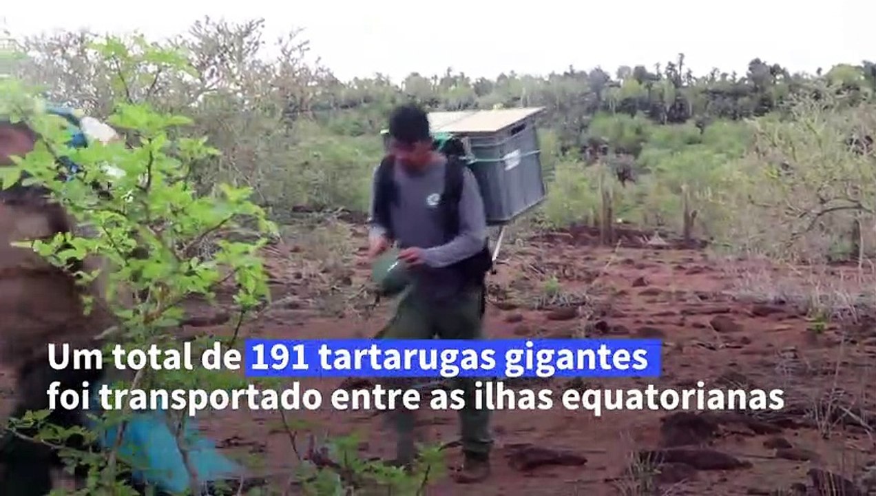 Entre as ilhas de Galápagos
