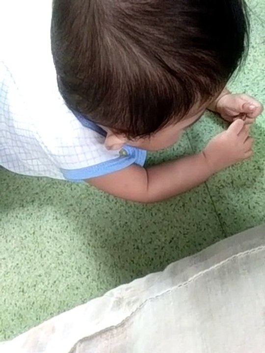kulit 