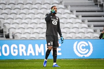 LOSC : la muraille Mike Maignan en chiffres
