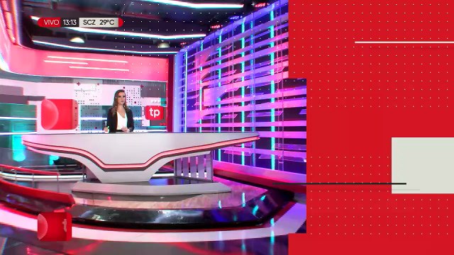 Rescatan a pichones de paraba, tucanes, patos silvestres y tortugas que iban a ser enviados a Chile