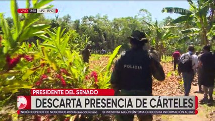 Rodríguez descarta que existan carteles de narcotráfico en el Chapare