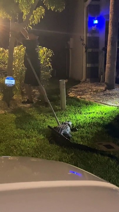 Ce qu'il sort du garage de cette maison à Fort Myers en Floride est incroyable : alligator de 5m de long