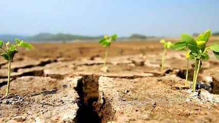 A vendre - Maison - SAINT-ILLIDE (15310) - 3 pièces - 82m²