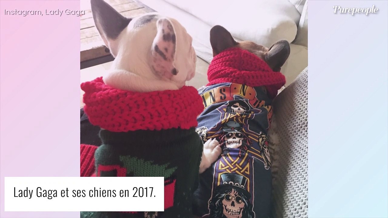 Lady Gaga quitte l'Italie : bientôt les retrouvailles avec ses chiens enlevés