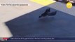 Video shows two NYC pigeons shove a third into oncoming subway train