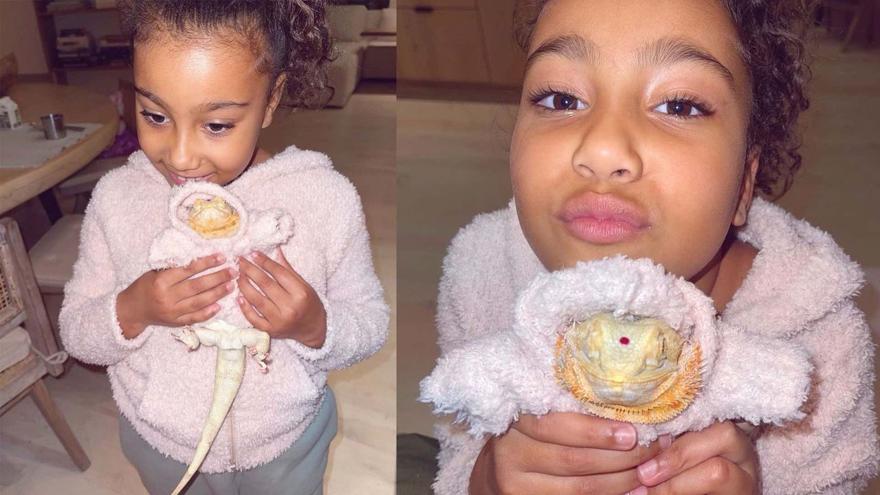 North West's New Lizard Is Cooler Than All of Us