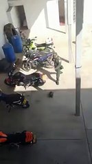 Captan el momento en que un policía tiene una 'batalla' con una tortuga y genera burlas en Internet