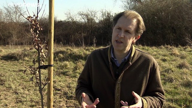 Forests must be protected for 'people, planet and prosperity,' says UN chief