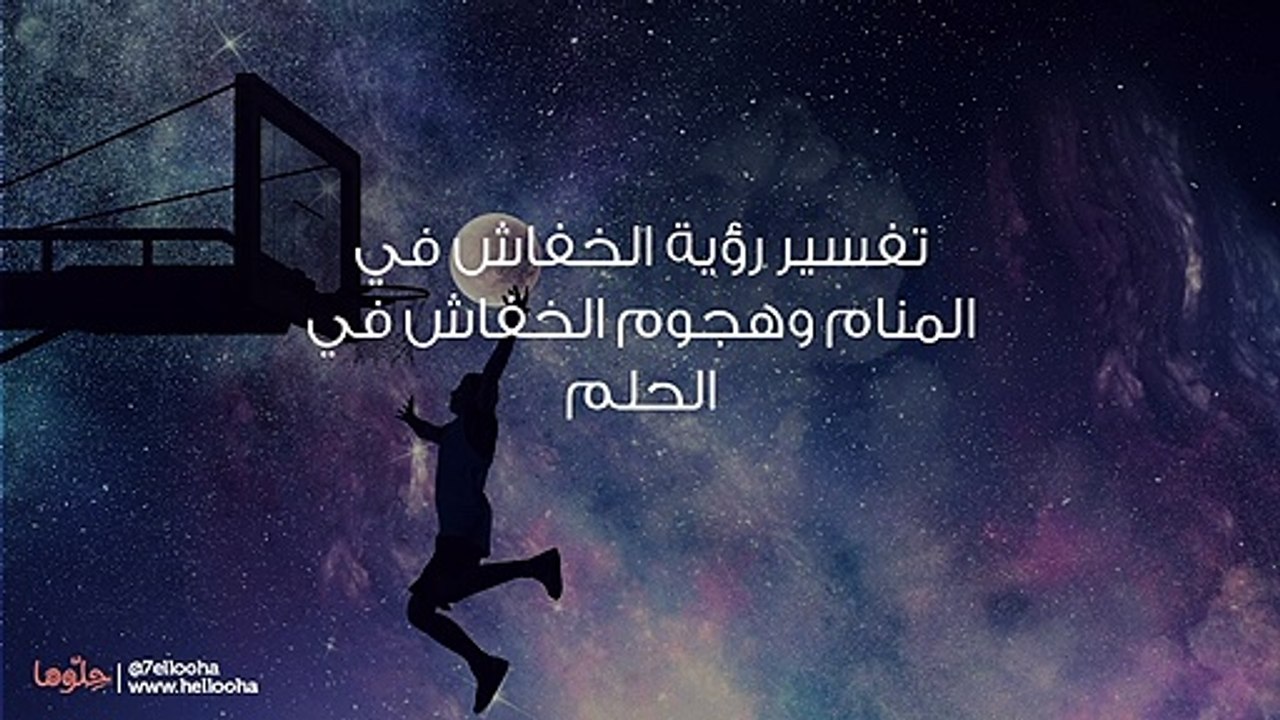 تفسير رؤية الخفاش في المنام وهجوم الخفاش في الحلم