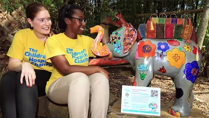 Bears of Sheffield preview