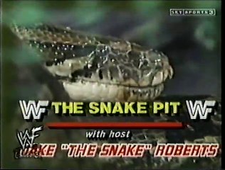 Snake Pit: Little Beaver, Haiti Kid & H Jim [1987-03-08]