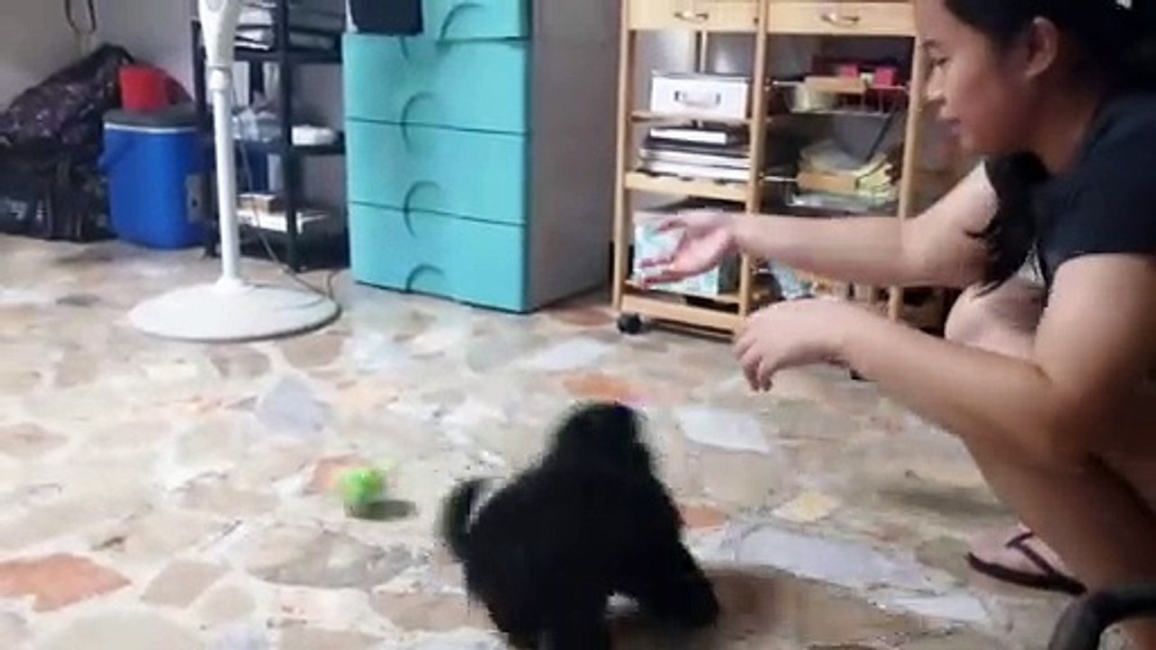 Pwimong