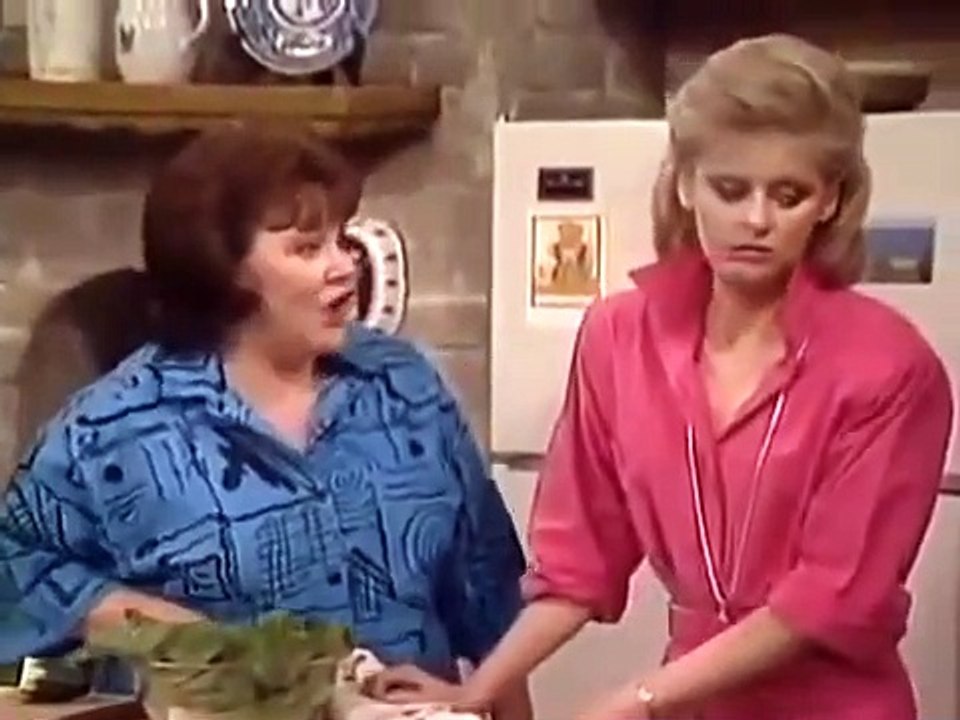 Small Wonder  S2 E10  You Gotta Have Heart (without intro song)