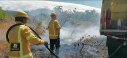 tn-7-Bomberos-forestales-atacan-tercer-incendio-de-la-temporada-en-Guanacaste-040321