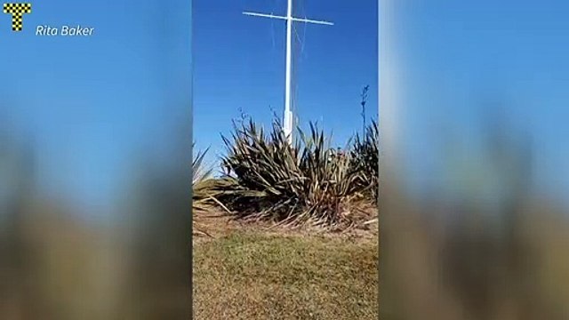 Nueva Zelanda anula orden de evacuación por tsunami tras sismo en el Pacífico