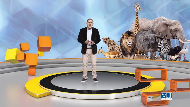 17 Graphic Design Theory Elements of Design Shape