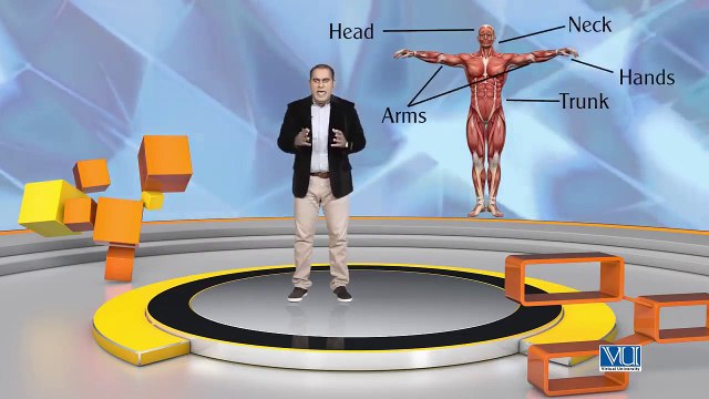 18 Graphic Design Theory Elements of Design Size