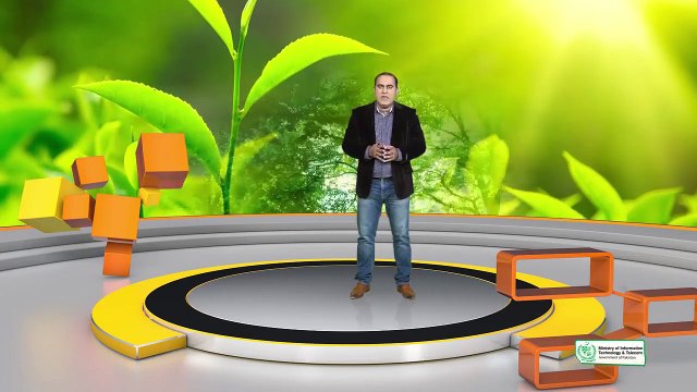 20 Graphic Design Theory Elements of Design Color Introduction