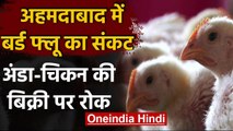 Bird Flu: Gujarat में बढ़ा संकट, Ahmedabad में चिकन-अंडे की बिक्री पर रोक | वनइंडिया हिंदी