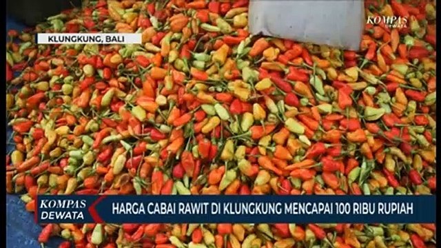 Harga Cabai Rawit Makin Pedas Hingga Seratus Ribu Per Kilo