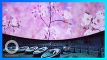 Melihat Bunga Sakura Mekar Secara Digital di Planetarium Jepang - TomoNews