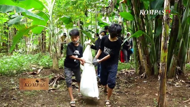Kurangi Sampah Selamatkan Lingkungan - Siapa Lindungi Pembela Lingkungan? BERKAS KOMPAS (3)
